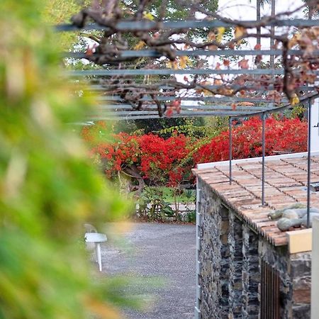 フンシャルOurmadeira - Loja Da Lenha, Charmingアパートメント エクステリア 写真