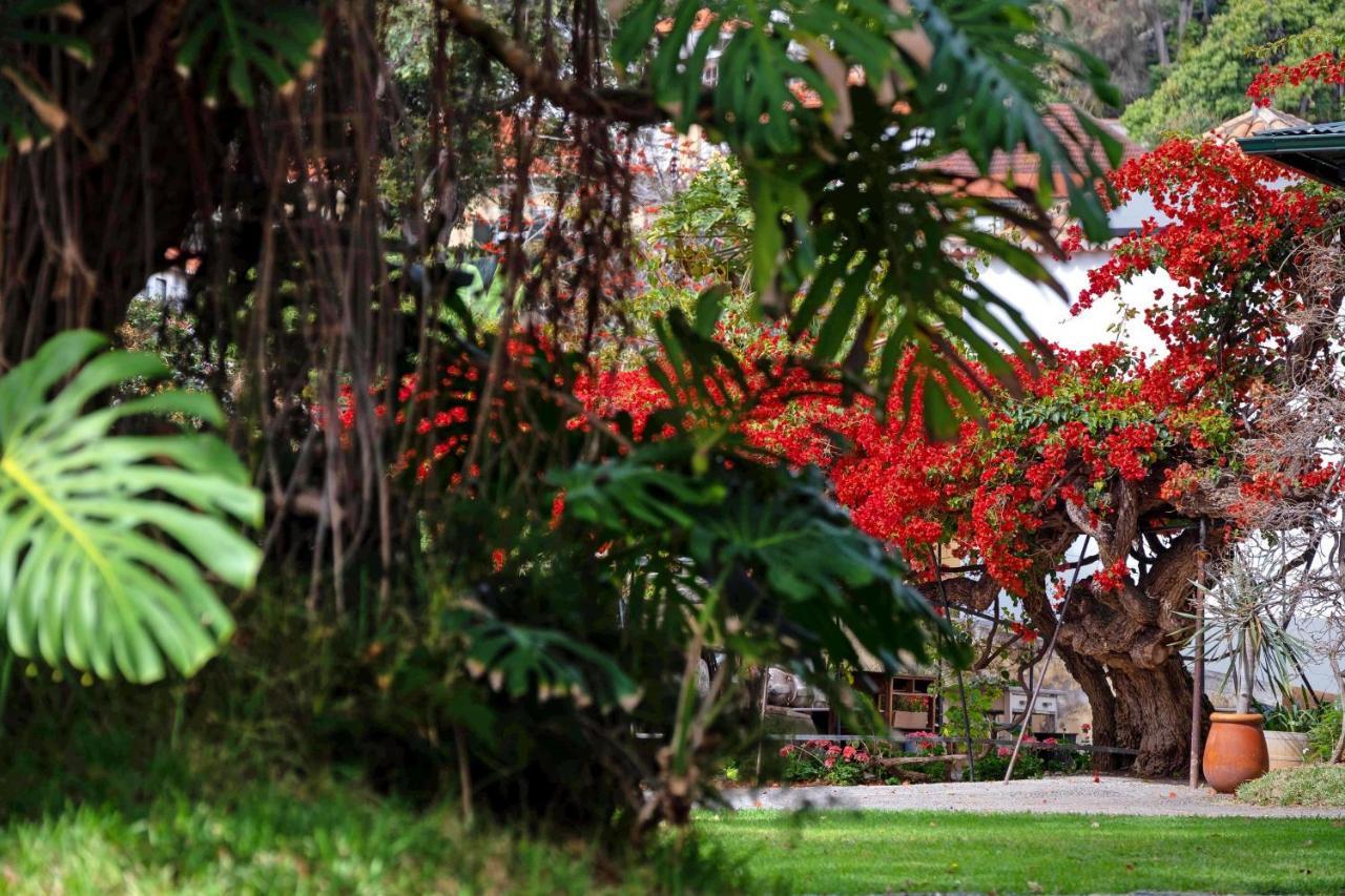 フンシャルOurmadeira - Loja Da Lenha, Charmingアパートメント エクステリア 写真